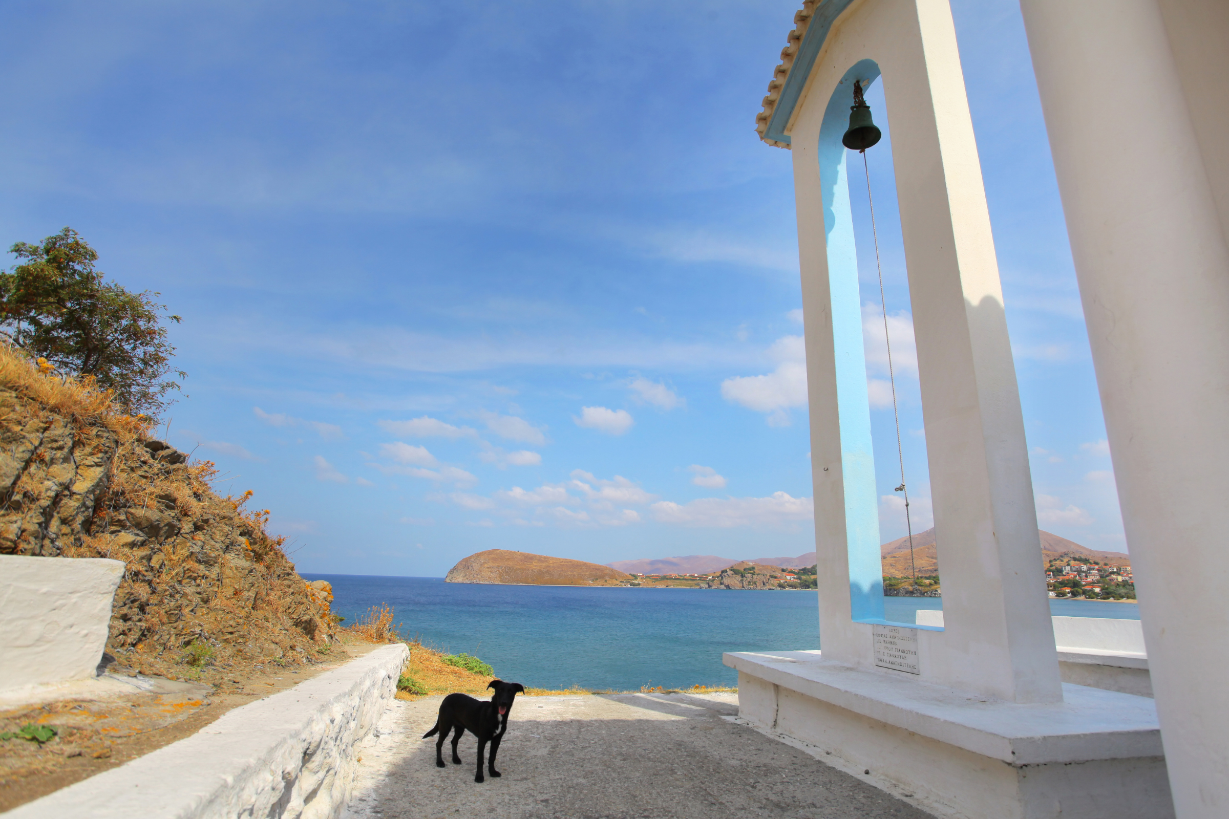 136 lemnos.webp